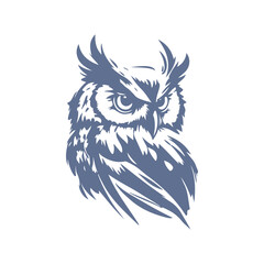 Realistic owl bird portrait isolated on white background. Vector Illustration.