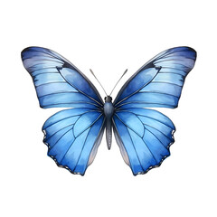 Blue butterfly with a soft gradient, white background