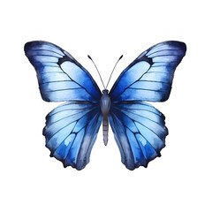 Fototapeta premium Soft blue butterfly with subtle shading, white background