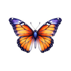 Monarch butterfly with vibrant orange and black wings, white background