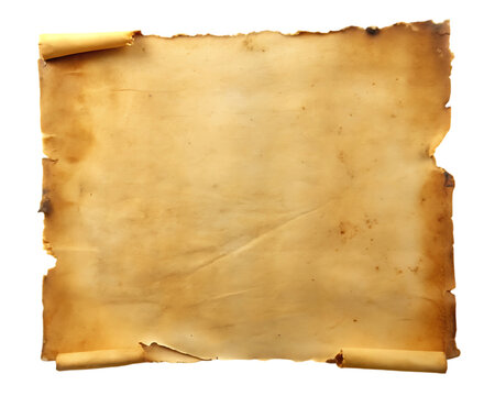 old mediaeval paper sheet horizontal parchment scroll isolated on white