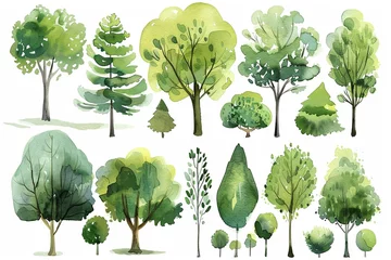 Fotobehang Collection of watercolor green trees, different shapes and sizes, isolated for flexible landscape architecture use © Atchariya63