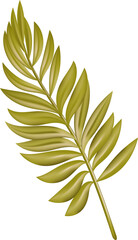 Palm leaf,summer green plant.tropical tree leaves,exotic foliage. coconut branch for party ,banner, fern.transparent, png