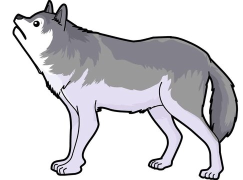 wolf cartoon vector style motion