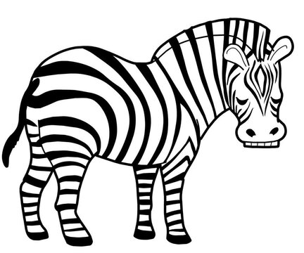 zebra cartoon vector style motion