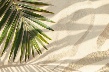Banner of Palm leaf on sand, top view, copy space. Summertime background. Flatlay.