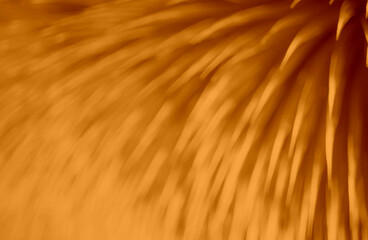 Dark Romantic Orange Abstract Creative Background Design