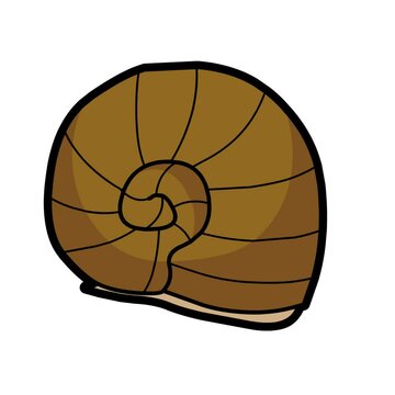 snail flat vector style motion