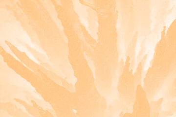 Fototapeta premium Light Romantic Orange Abstract Creative Background Design