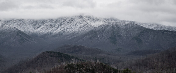 mountains in the fog