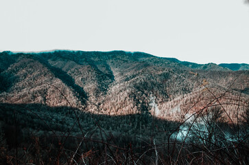 landscape of the mountains