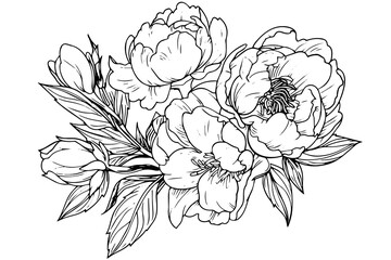 Vintage Floral Vector Collection: Hand-Drawn Roses, Baroque Ornaments, and Peony Blossoms in Black and White, Retro Illustration.