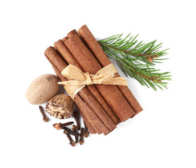 Different spices and fir branches on white background, top view