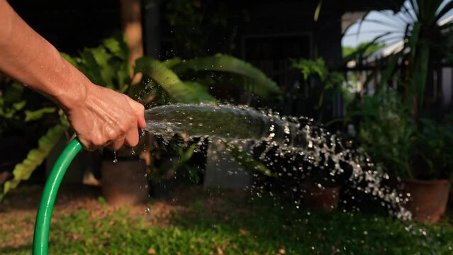 During the spring, trees need a lot of water.
