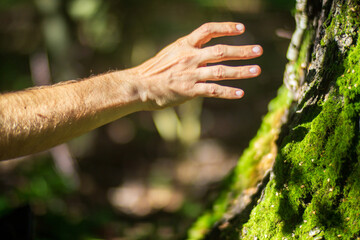A man's hand touch the tree trunk close-up. Bark wood. Caring for the environment. The ecology...