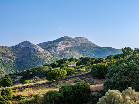 View towards the Mount Zas (Zeus), Naxos Island, Cyclades, Greek Islands