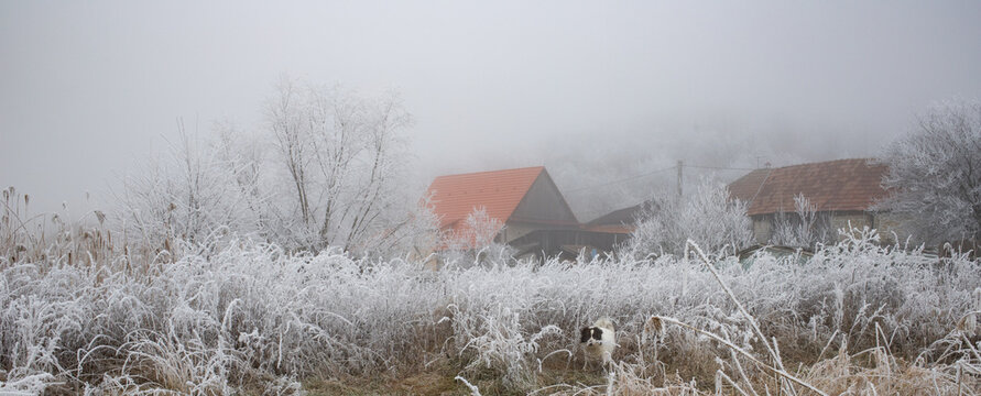 Frozen scene in winter, Romania