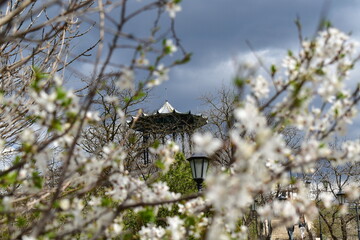 view of the Chinese gazebo on Mount Mashuk in Pyatigorsk, Russia, through the branches of a flowering cherry plum tree