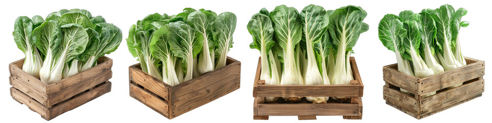 Wooden Box Full Of Bok Choy Hyperrealistic Highly Detailed Isolated On Transparent Background Png - obrazy, fototapety, plakaty