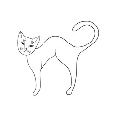 The cat arched its back and raised its tail. Simple line drawing hand drawn on white background.