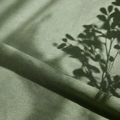 sunlight shadows on a very light neutral sage green fabric, aesthetic minimalist natural background with copy space