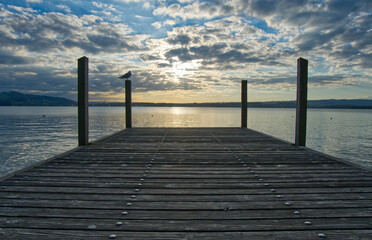 Obraz premium pier at sunset with seagull