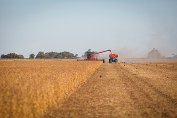 A combine harvester at work unloading onto a grain trailer while harvesting a soybean field.
