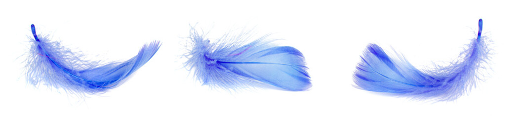 Set of fluffy feathers isolated on white