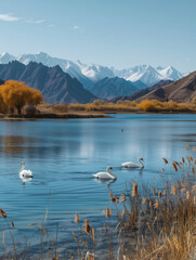 Lake water and swans in Xinjiang, China,created with Generative AI tecnology.