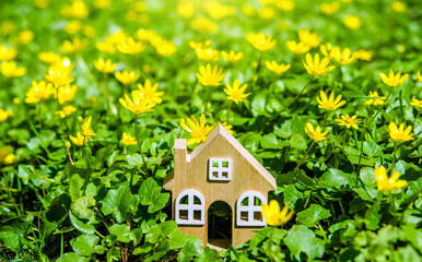 The symbol of the house stands among the yellow flowers
