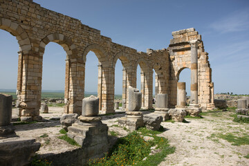 Morocco ruins of Volubilis on a sunny spring day.