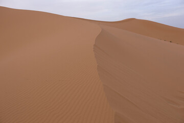 Morocco desert on a sunny spring morning.