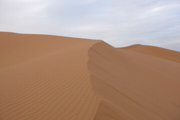Fototapeta na wymiar Morocco desert on a sunny spring morning.