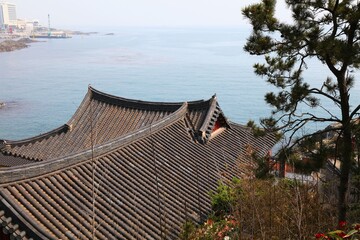 Haedong Yonggungsa Temple in Busan, Korea - 780647114