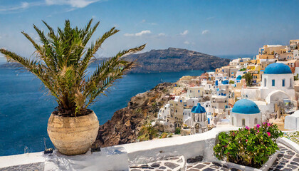 Discover the beauty of Santorini's streets with this close-up photo, highlighting the vibrant...