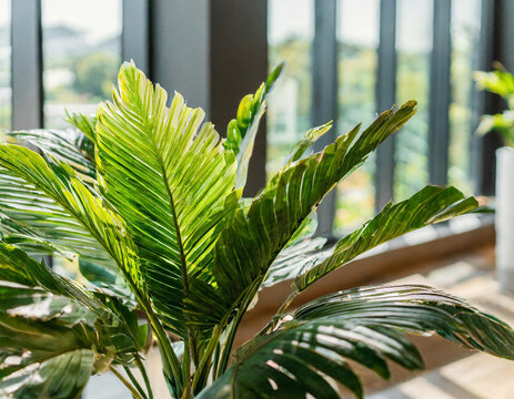 luxurious loft apartment with jungle palmtree environment growing indoor; augmented reality concept; realistic immersive nature experience; bright daylight