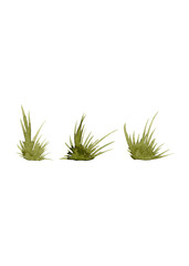 Bunches of young grass. Set of isolated watercolor sedge tussocks. Floral decor for the spring holiday of Easter
