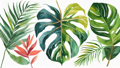 watercolor  illustration set featuring tropical leaves, exotic plants, palm leaves, and monstera isolated on a white background.