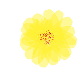 The yellow May with red dots
