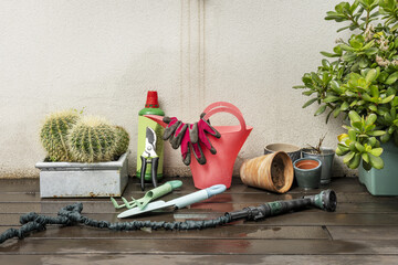 Gardening accessories with a hose and plants on a dark wooden plank surface