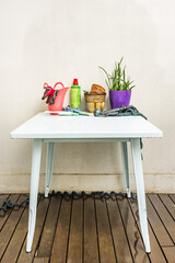 Gardening accessories with hose and plants on a light blue square metal outdoor table