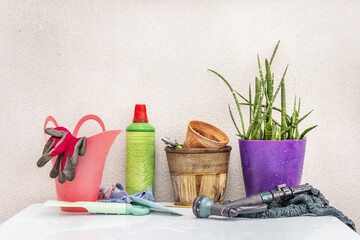 Gardening accessories with hose, a green fertilizer bottle, protective gloves, empty pots and...
