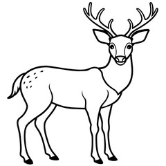 Fototapeta premium Deer vector illustration style. with line art.