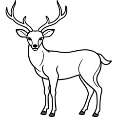       Deer vector illustration style. with line art.
