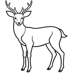 Fototapeta premium Deer vector illustration style. with line art.