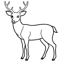 Obraz premium Deer vector illustration style. with line art.