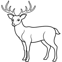 Fototapeta premium Deer vector illustration style. with line art.