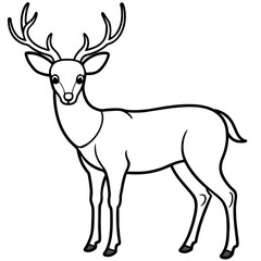 Obraz premium Deer vector illustration style. with line art.
