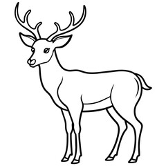       Deer vector illustration style. with line art.