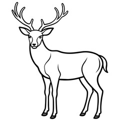       Deer vector illustration style. with line art.